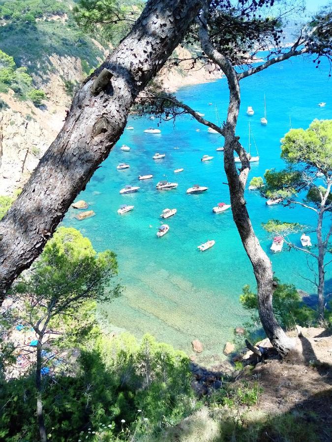 Apartament La Vista Bonica Blanes Zewnętrze zdjęcie